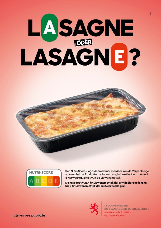 Lasagne oder Lasagne