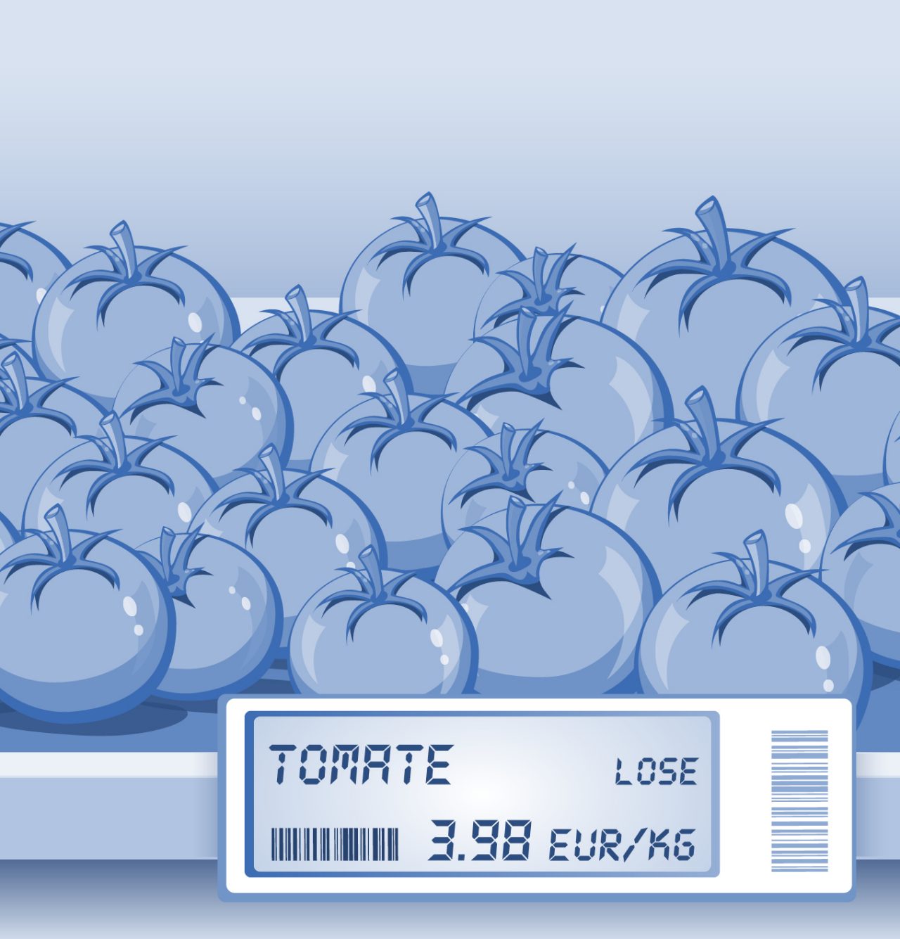   (Pdf, 3,28 MB)